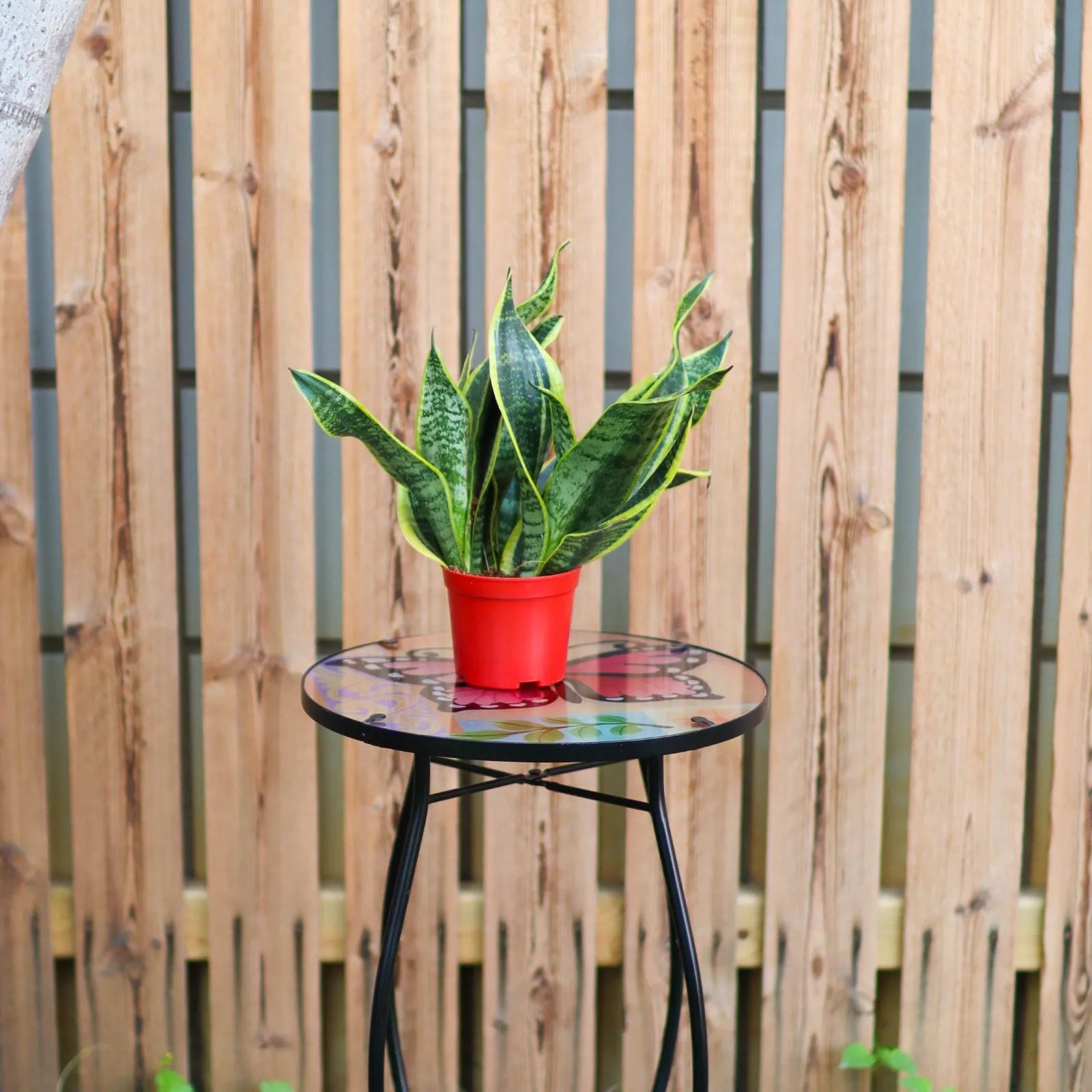 Round Side Mosaic Table With Large Butterfly Design